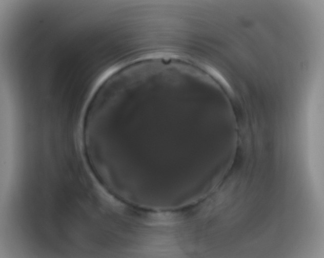 X0000113851087200910010956