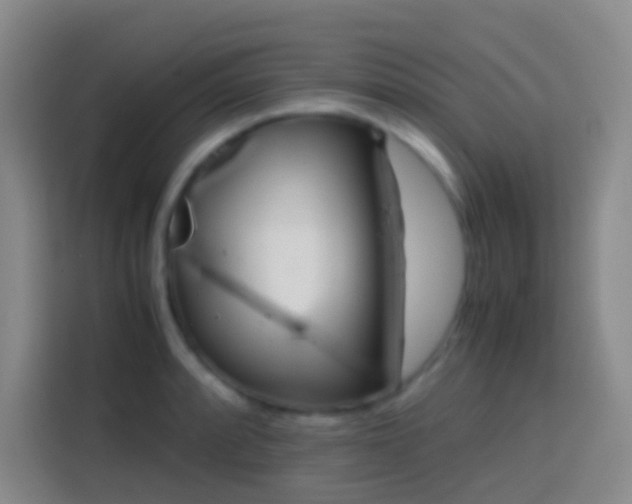 X0000113851088200910010956