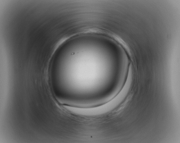 X0000113851089200910010956