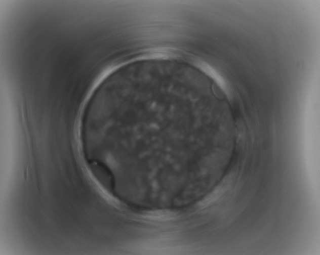 X0000113851091200910010956