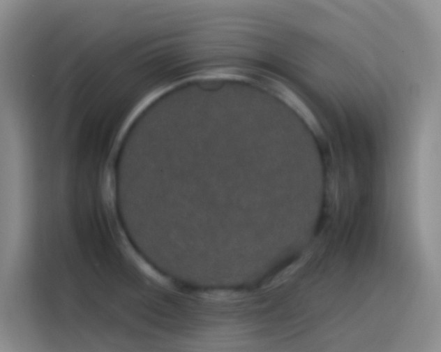 X0000113851092200910010956