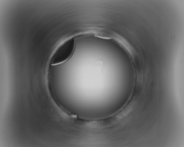 X0000113851093200910010956