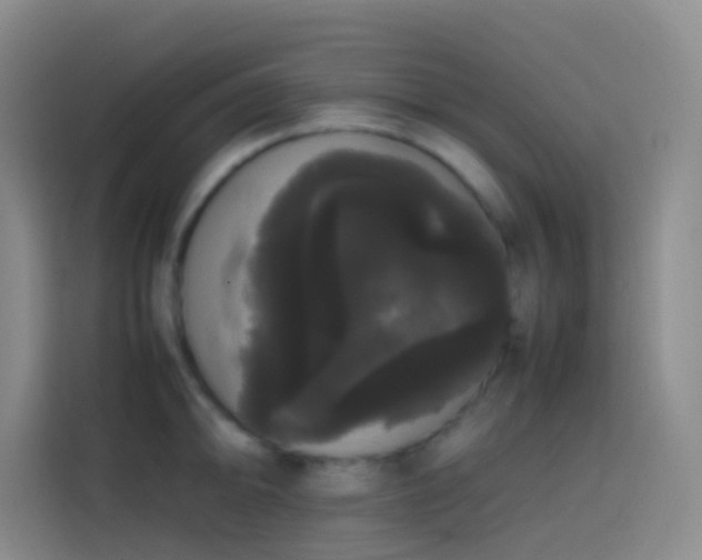 X0000113851094200910010956