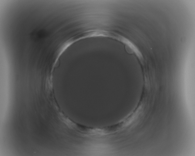 X0000113851097200910010956