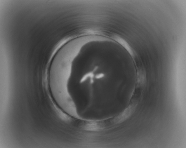 X0000113851098200910010956