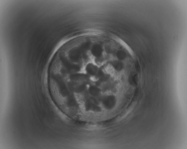 X0000113851099200910010956