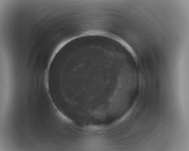 X0000113851102200910010956