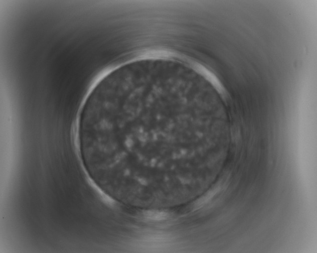 X0000113851103200910010956