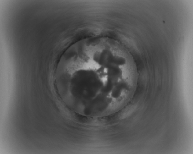 X0000113851105200910010955