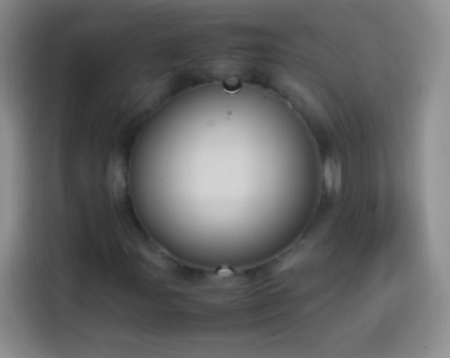 X0000113851107200910010955