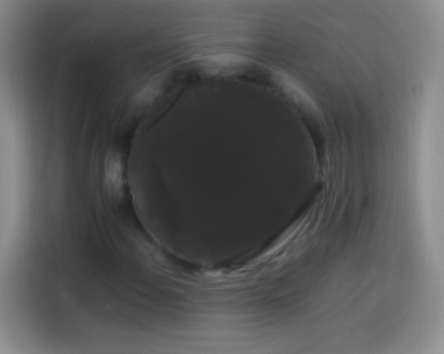 X0000113851108200910010955