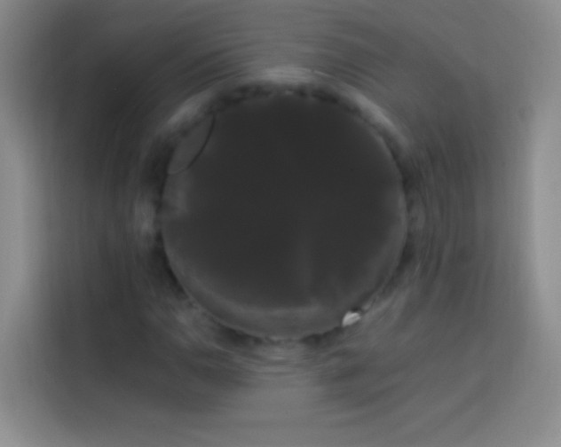 X0000113851110200910010955