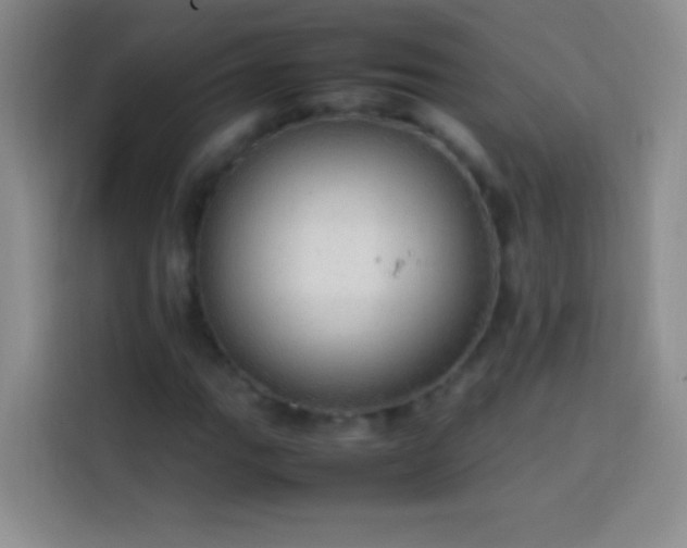 X0000113851111200910010955