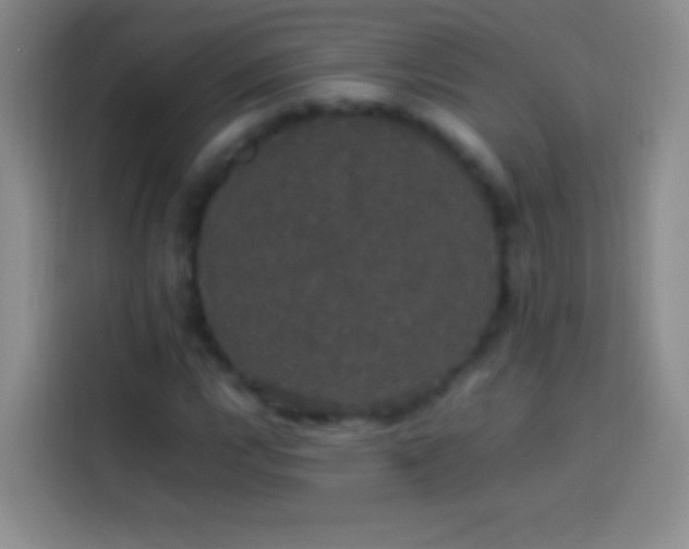 X0000113851112200910010955