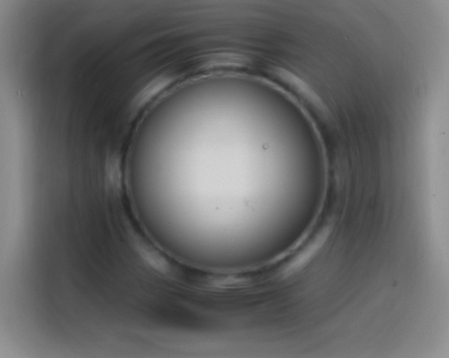 X0000113851113200910010955