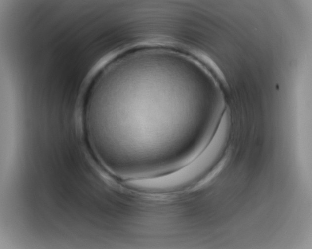 X0000113851114200910010955