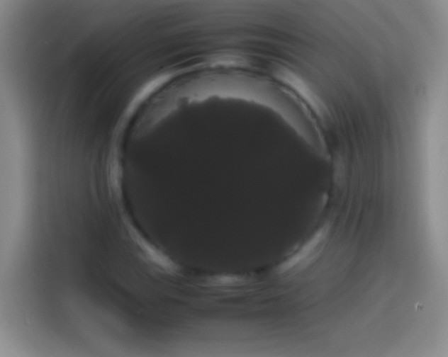 X0000113851115200910010955