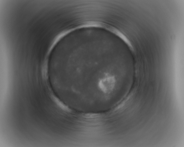 X0000113851116200910010955