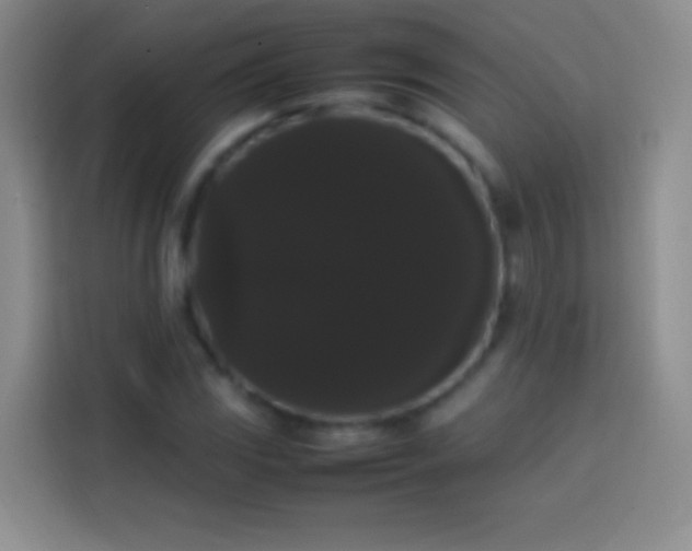 X0000113851117200910010955