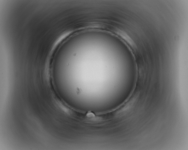 X0000113851119200910010955