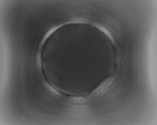 X0000113851120200910010955