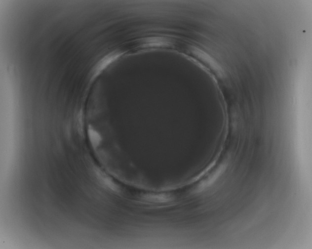 X0000113851121200910010955