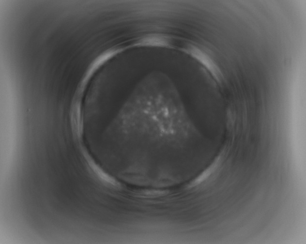 X0000113851123200910010955