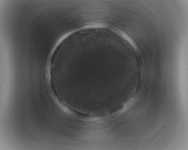 X0000113851124200910010955