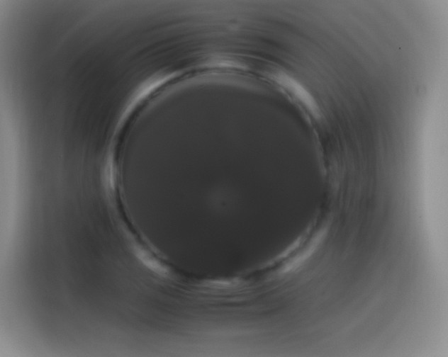 X0000113851125200910010955