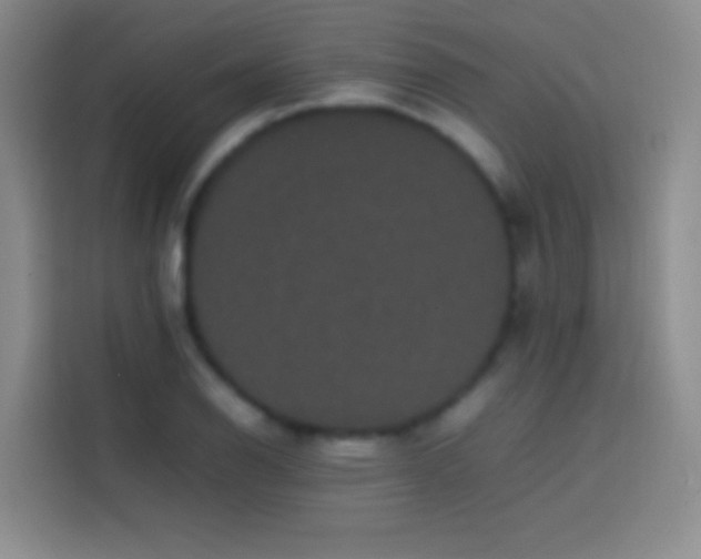 X0000113851126200910010955