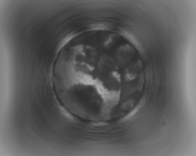 X0000113851129200910010955