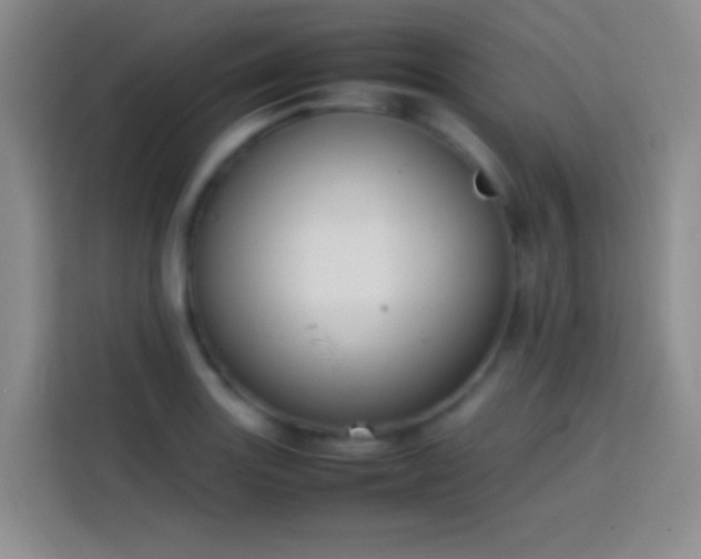 X0000113851131200910010955