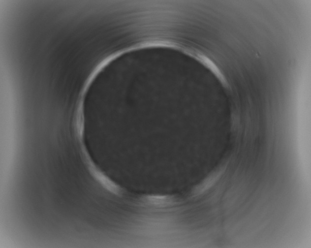 X0000113851132200910010955