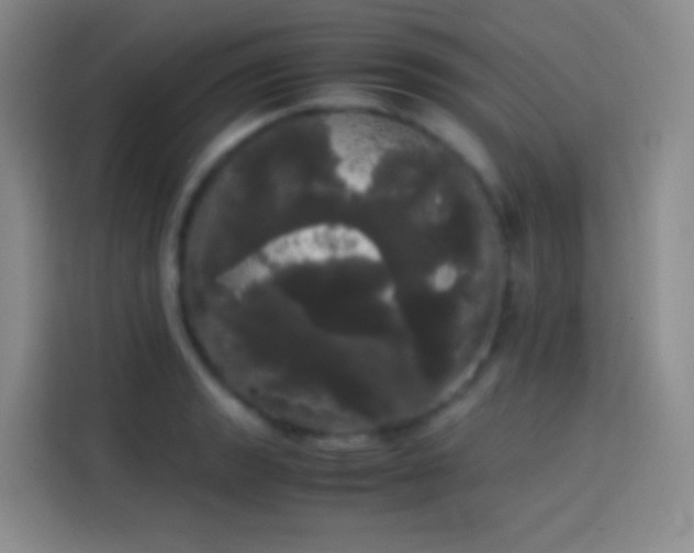 X0000113851133200910010955