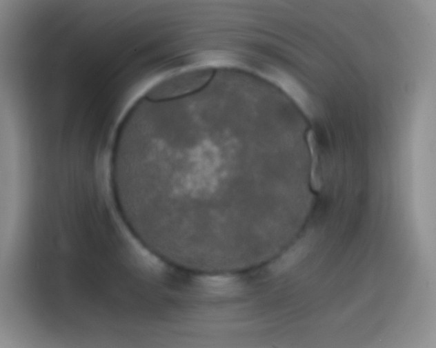 X0000113851134200910010955