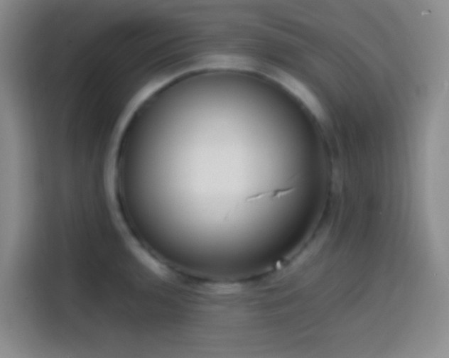 X0000113851136200910010955