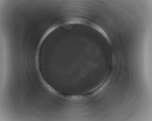 X0000113851138200910010955