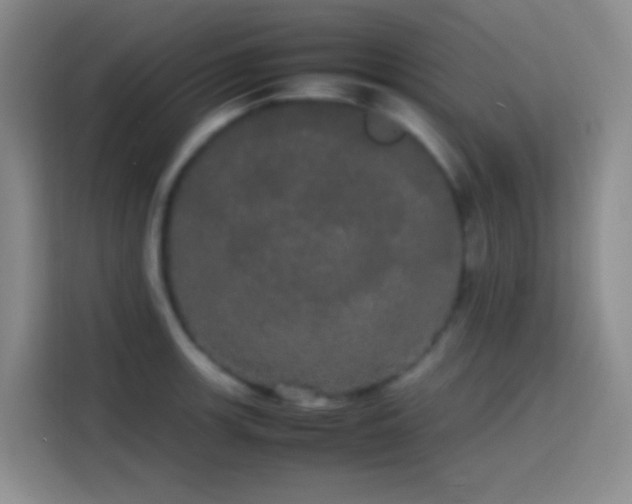 X0000113851139200910010955