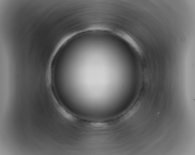 X0000113851140200910010955