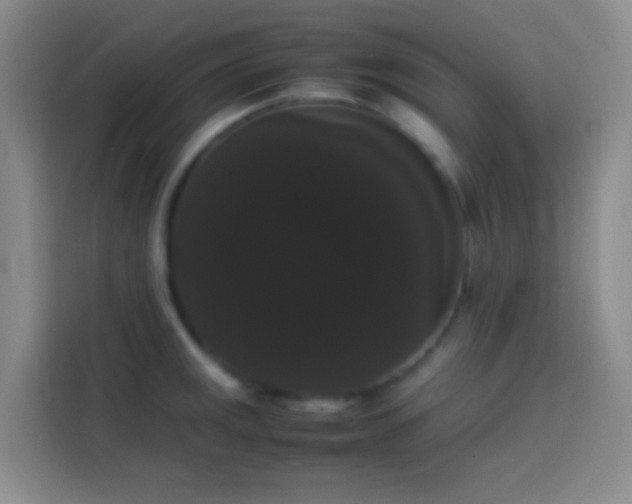 X0000113851141200910010955