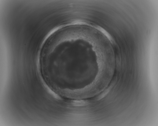 X0000113851142200910010955