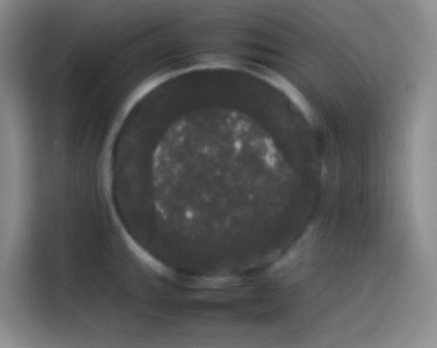 X0000113851143200910010955