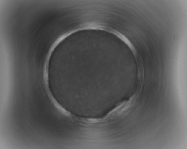 X0000113851144200910010955