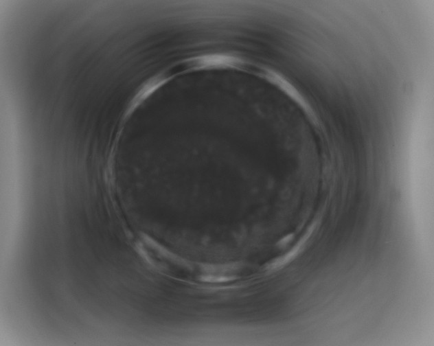 X0000113851145200910010955