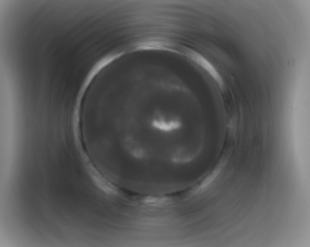 X0000113851146200910010955