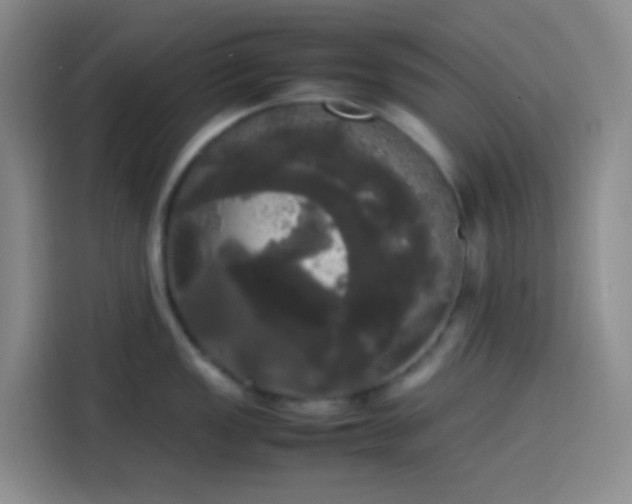 X0000113851149200910010956