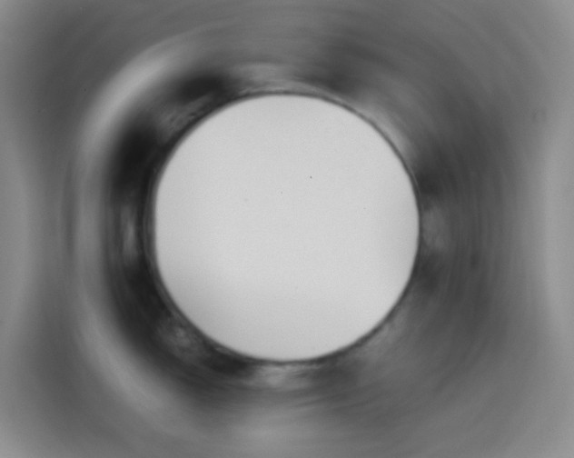 X0000113851150200910010956