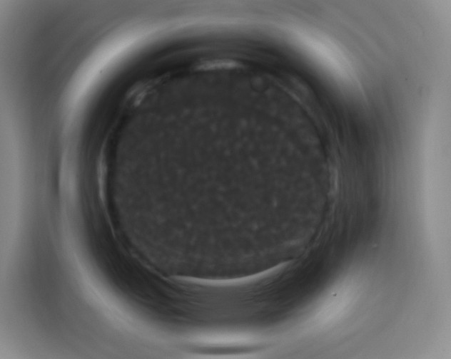 X0000113851151200910010956