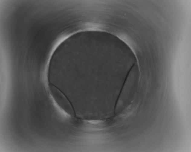 X0000113851152200910010956