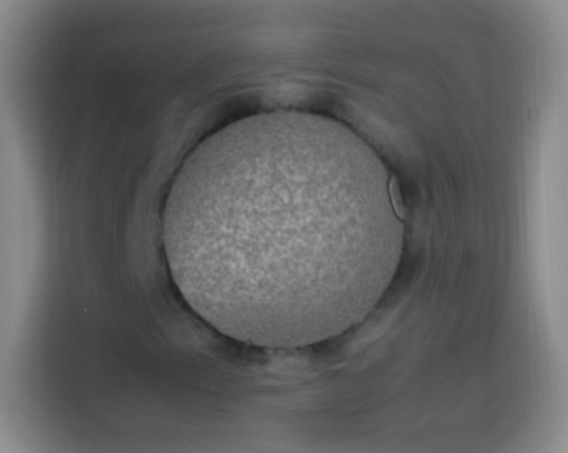 X0000113851153200910010955